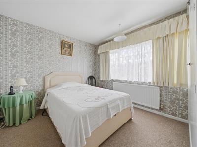 Picture 13